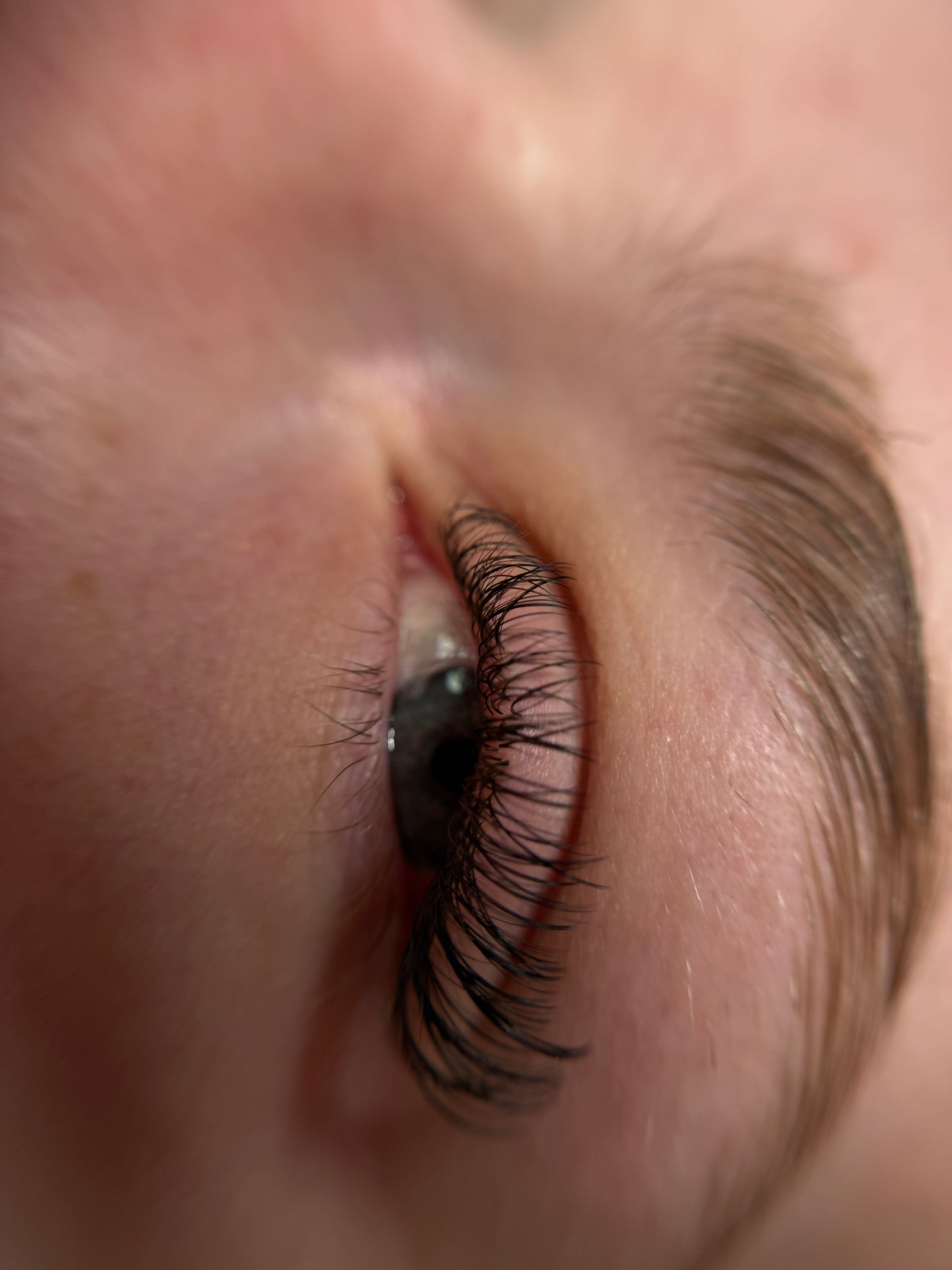 Lash Extensions Wet Look