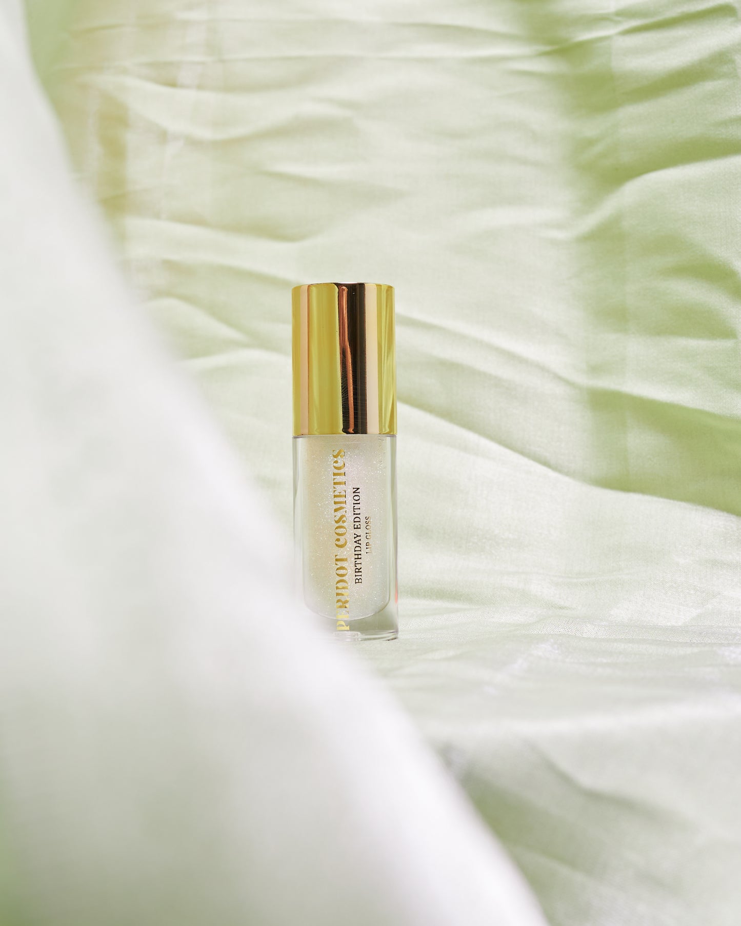 High shine Lip Gloss