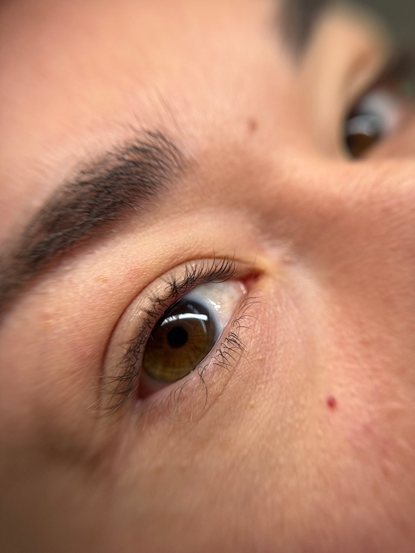 Korean lashlift + color