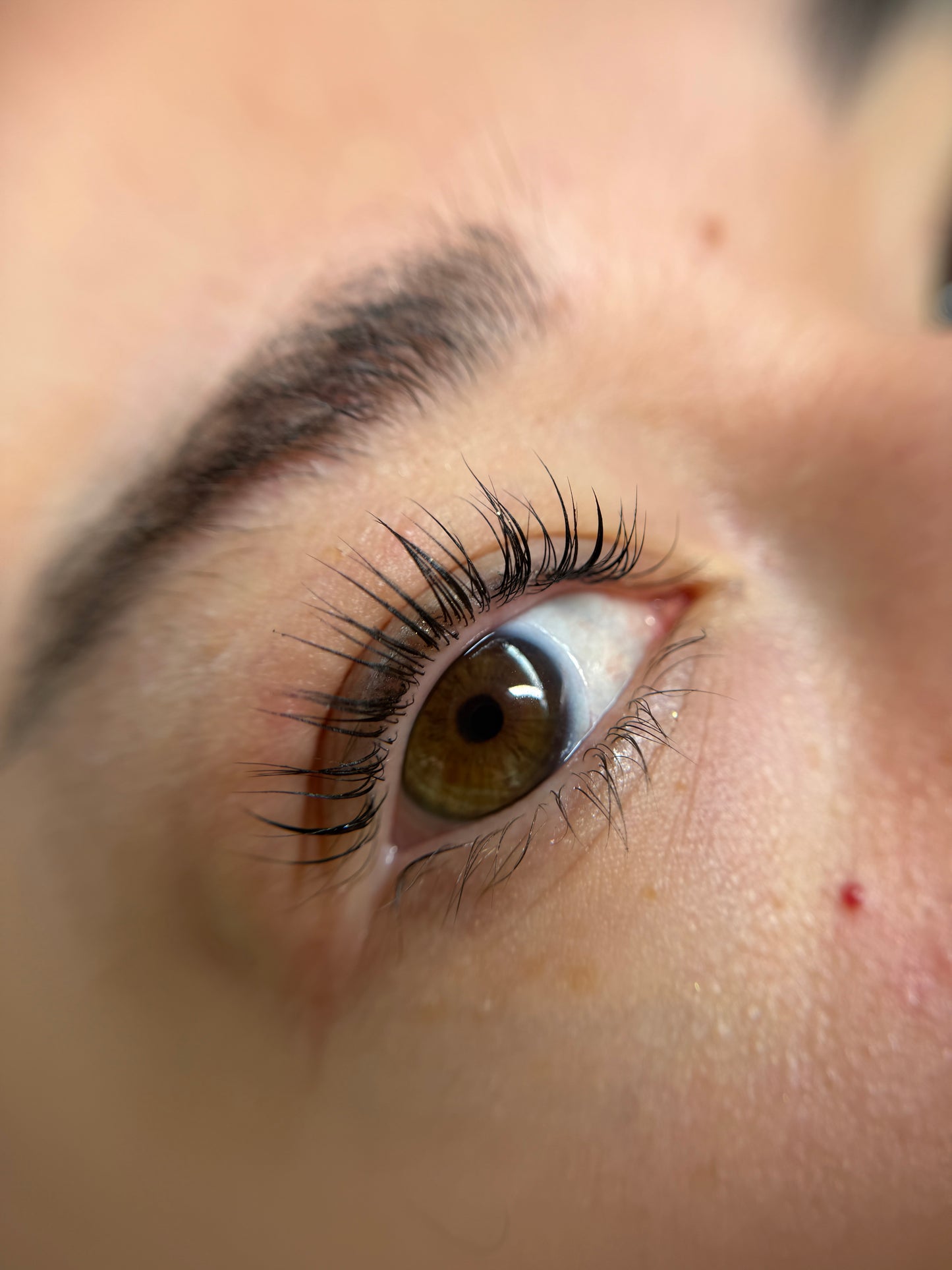 Korean lashlift without color