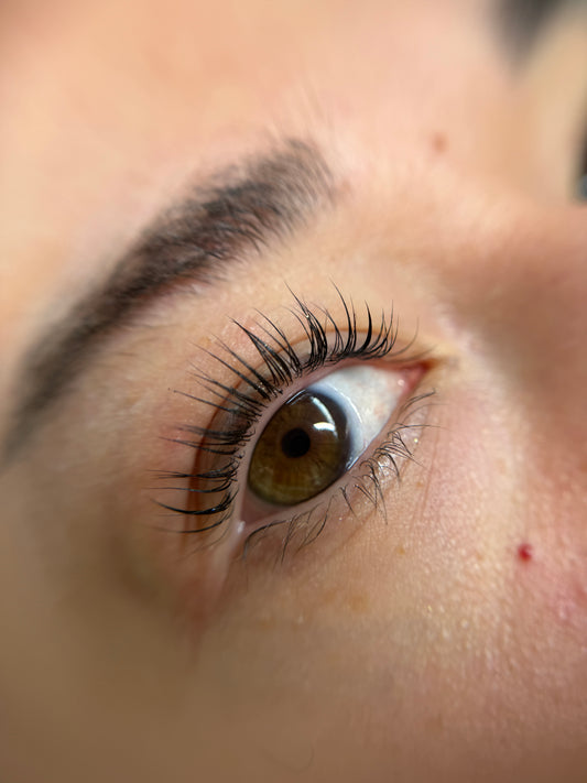 Korean lashlift without color