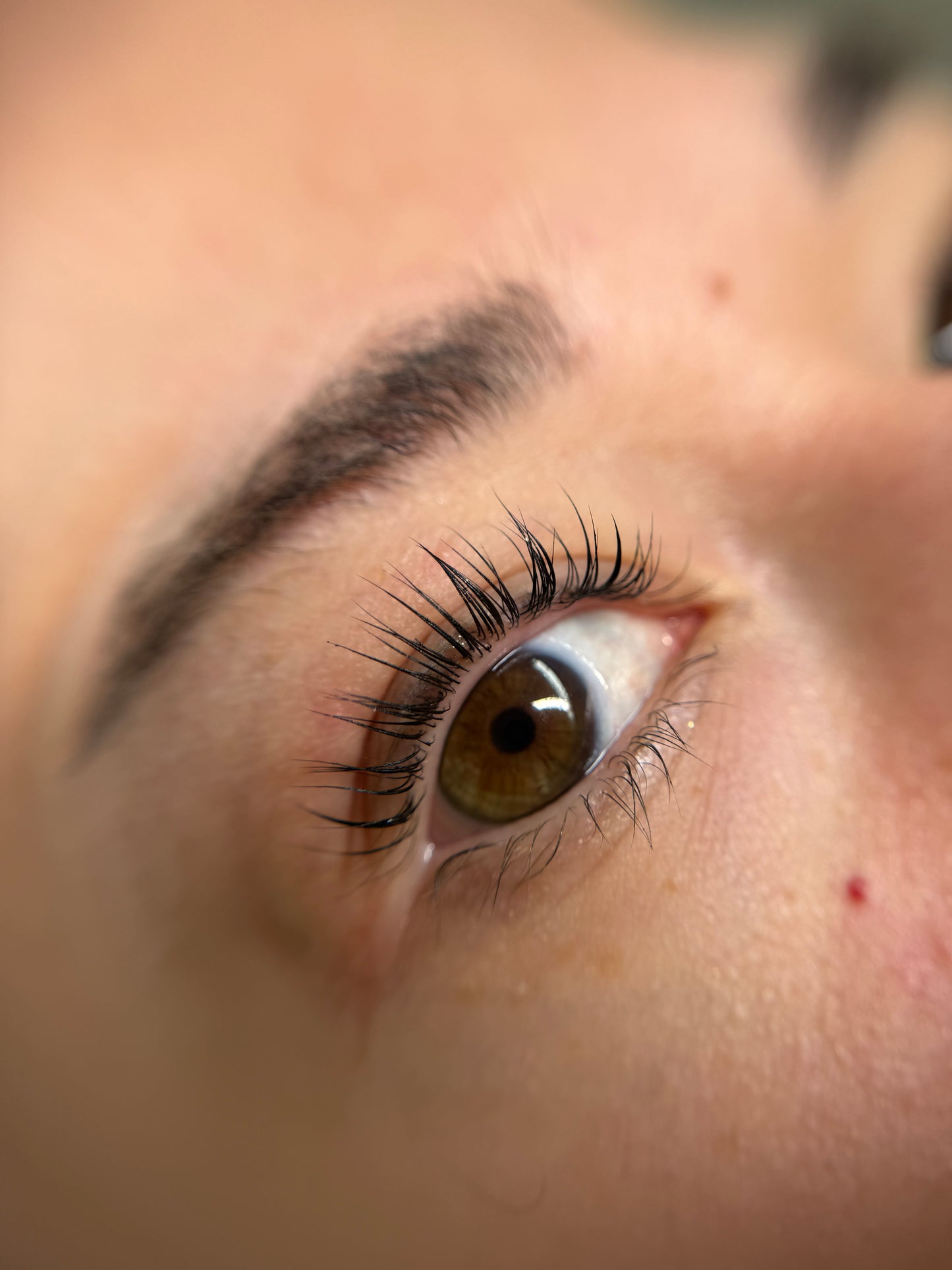 Korean lashlift + color