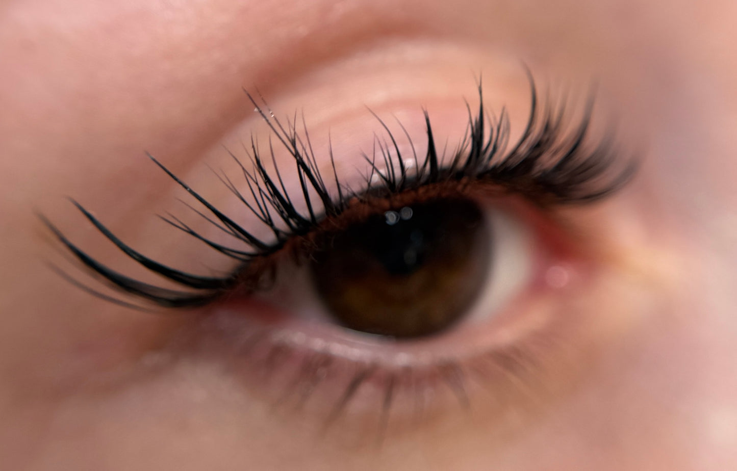 Lash Extensions - Speed Lashes