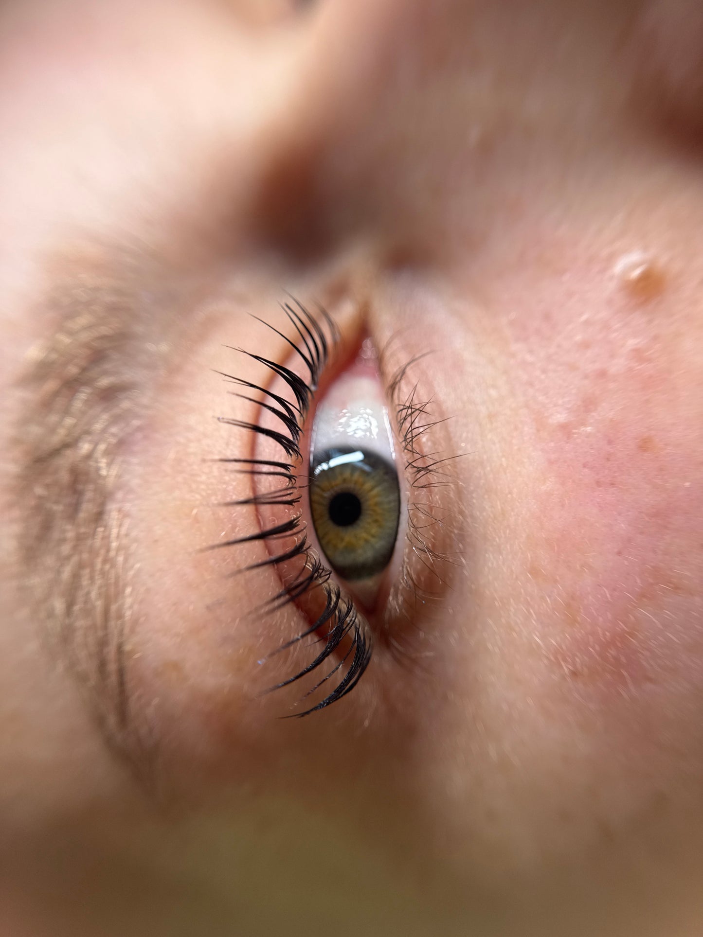 Korean lashlift without color