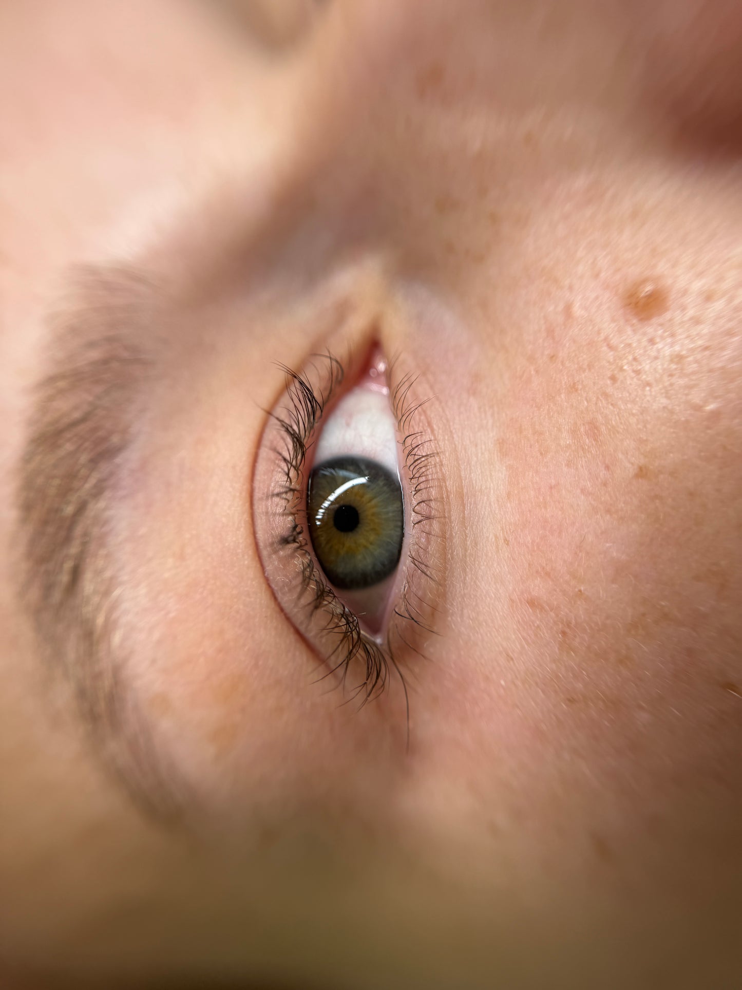 Korean lashlift + color