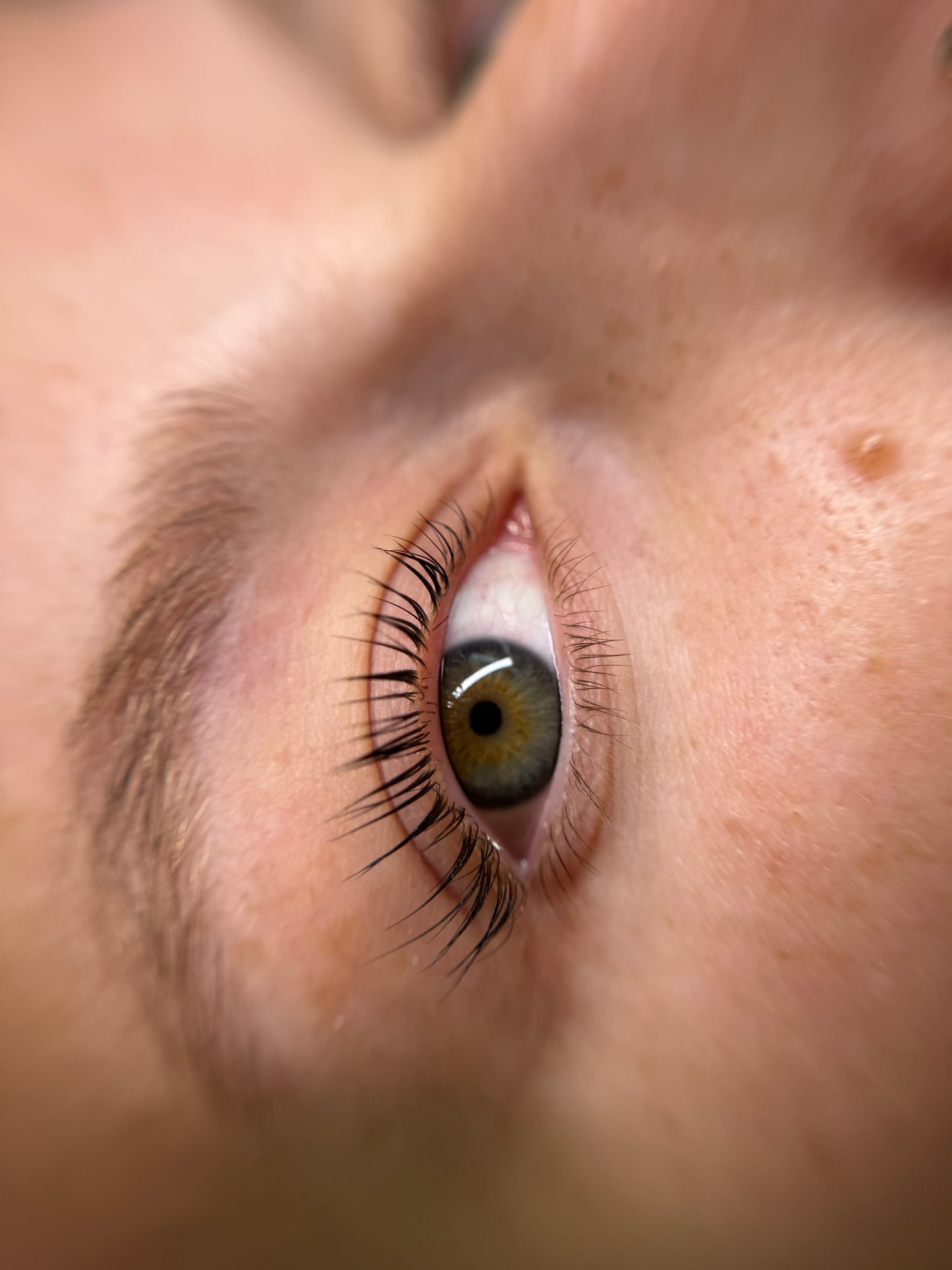 Korean lashlift + color