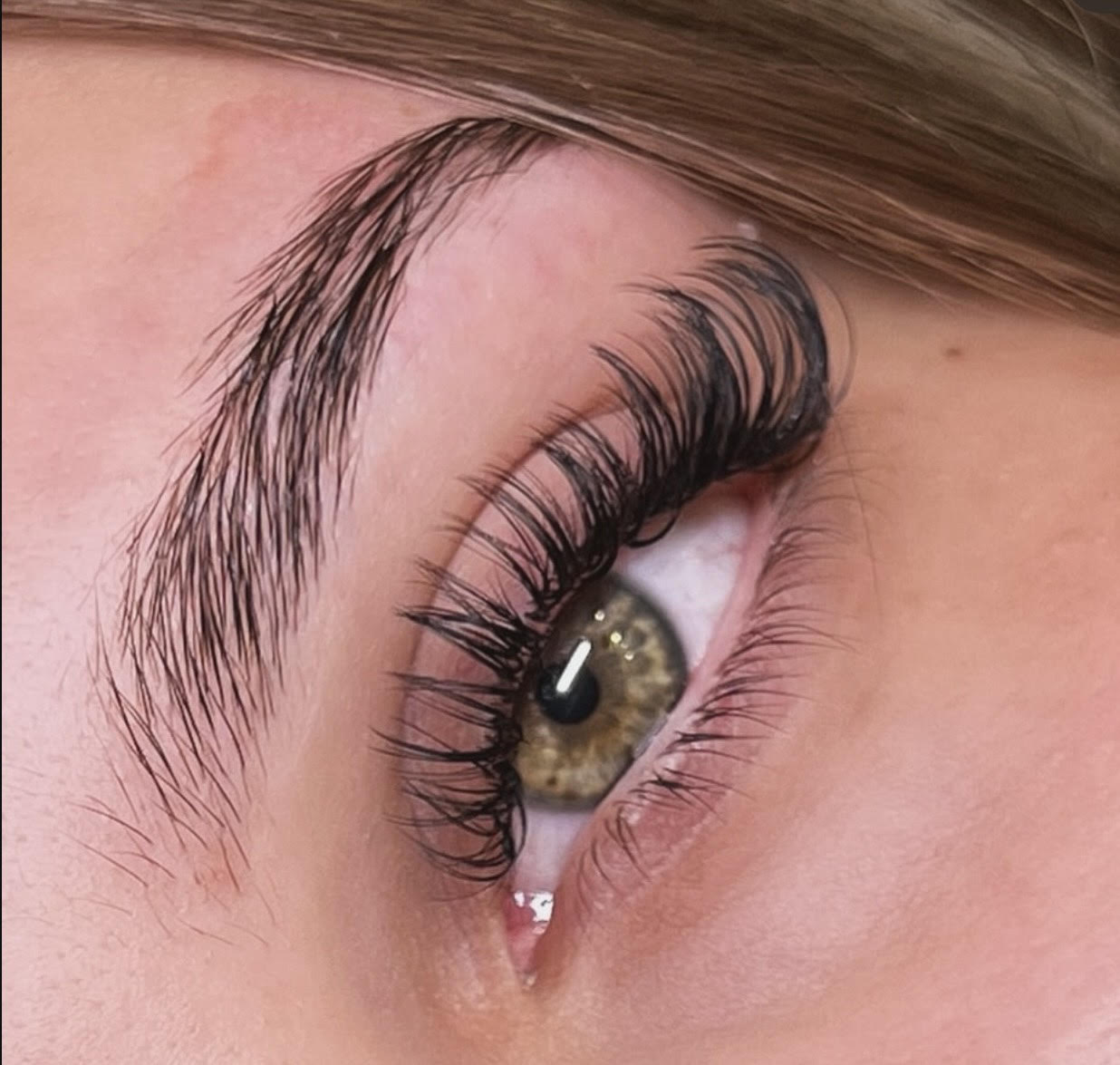 Lash Extensions Wet Look Refill 2 Weeks